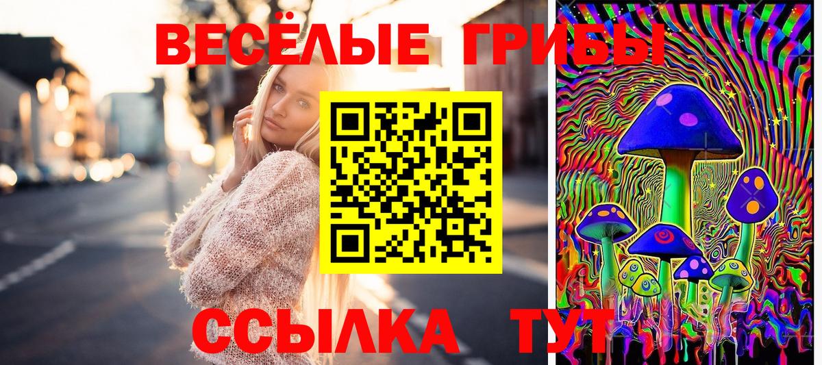 Полевской  Галлюциногенные грибы Magic Shrooms  Вход с VPN 