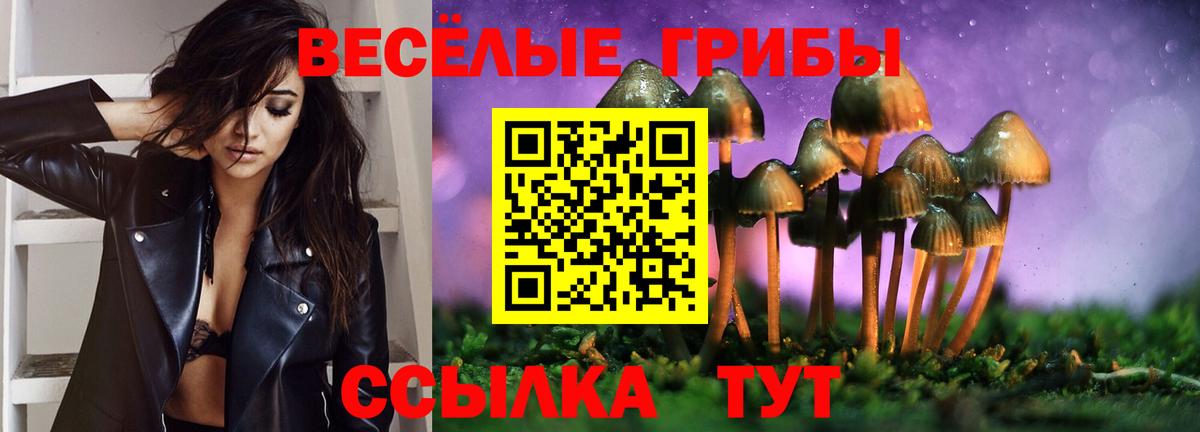 Псилоцибиновые грибы Psilocybine cubensis Полевской